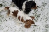  - Première neige de Fanette et Gabie!